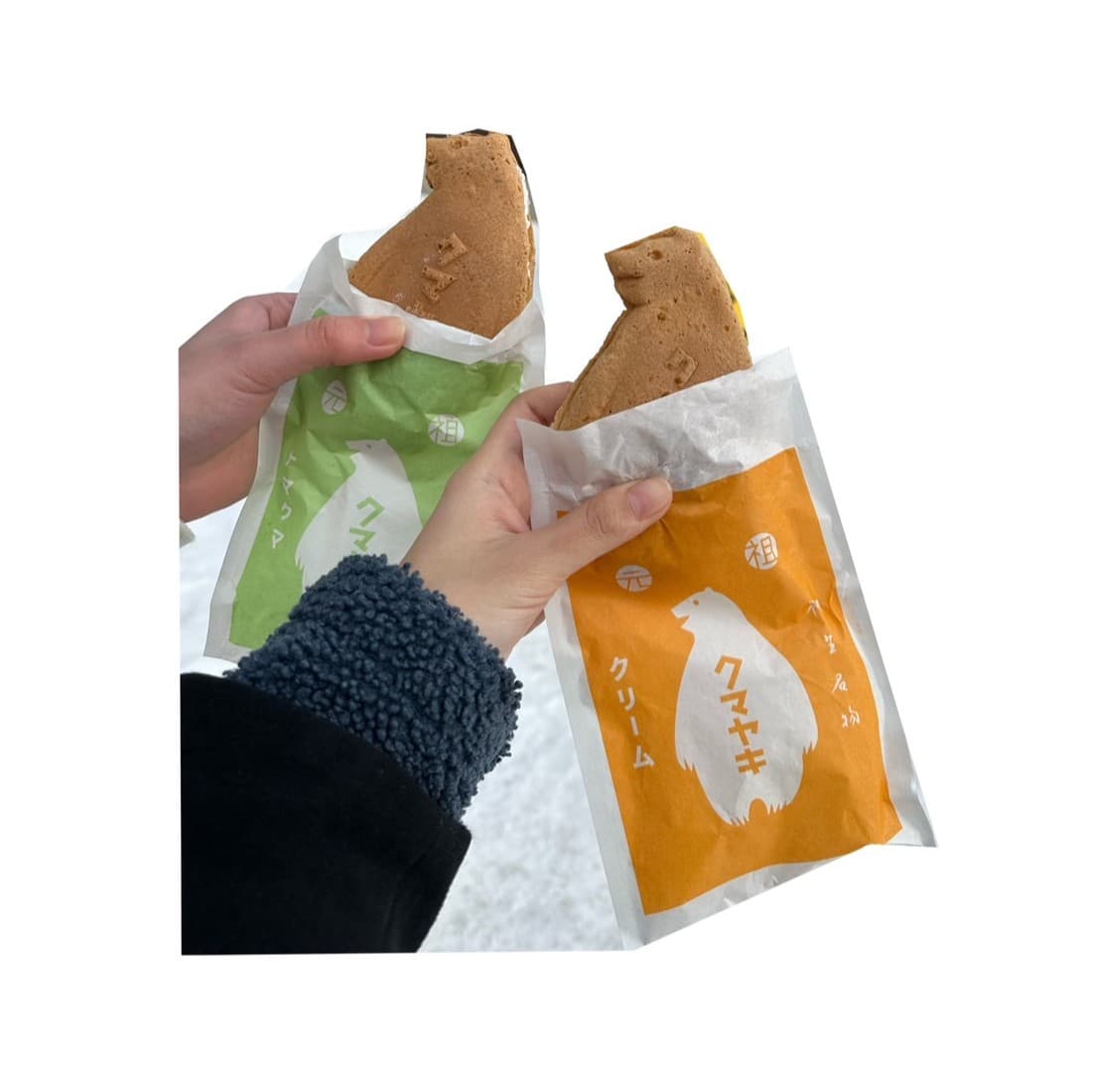 写真：ヒグマ・ナマクマ